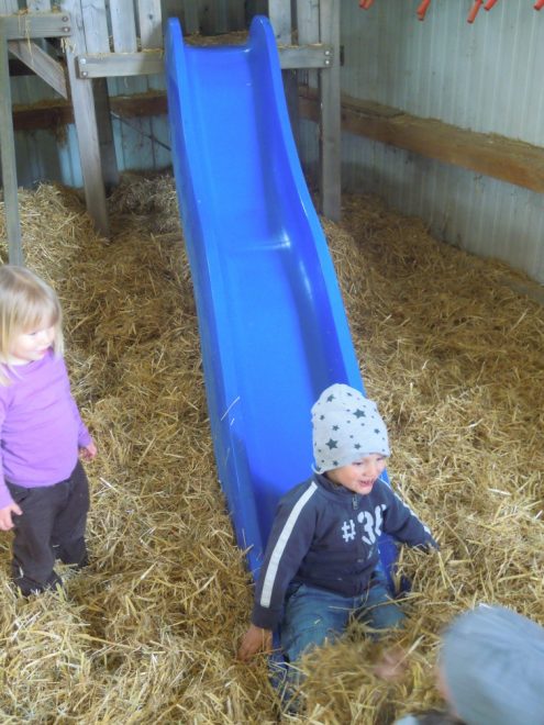 dscn2002